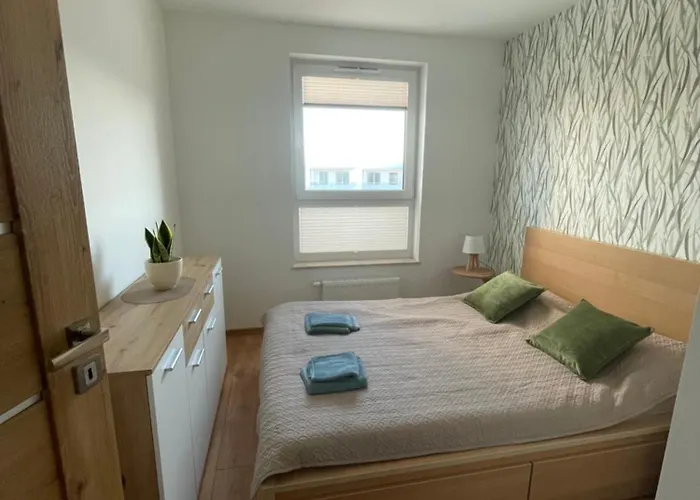 Sunny Franciszkanska Nowy 4os 2 Min Z S6 *